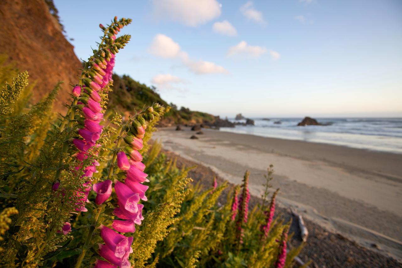 Inn At Cannon Beach Exterior foto